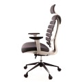 Компьютерное кресло Everprof Ergo Grey Ткань Серый